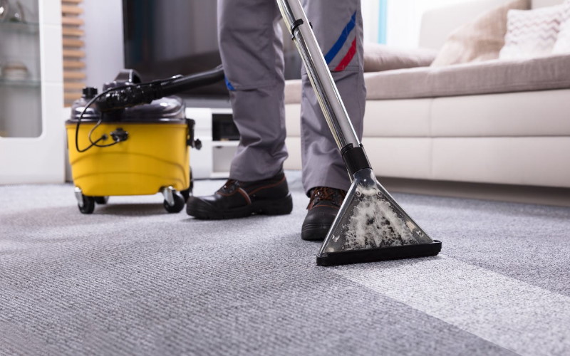 carpet cleaning Horsham company