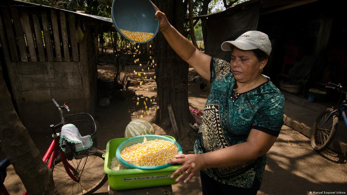 How do women provide food for their families in nicaragua?
