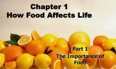 How food affects life chapter 1?