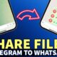How to share telegram voice message to WhatsApp?