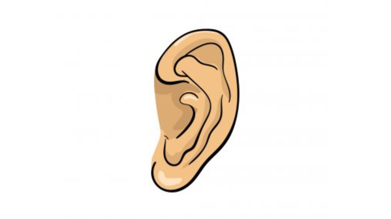 Draw an Ear