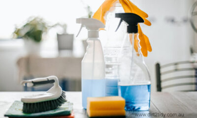 Ammonia in Cleaning