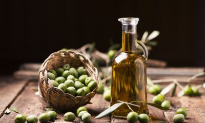 olive oil wholesale business